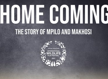 Coming Home Film Poster Header